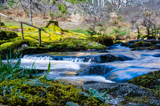 Rivulets-Bilder: Stock-Fotos & -Videos. | Adobe Stock