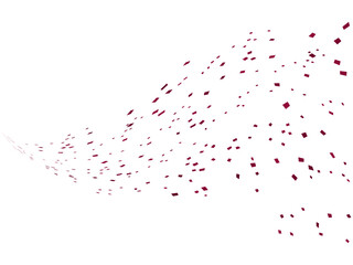 紙吹雪、m11ワイン、9波50