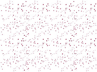 紙吹雪、m11ワイン、13塵多