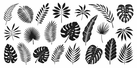 Assortment of Tropical Plant Leaves Silhouettes tropical leaves