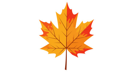 Fototapeta premium Vibrant autumn maple leaf with gradient hues on a white background