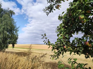 Fototapeta premium Septemberlandschaft 