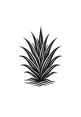 Minimalist Black and White Illustration of Agave Plant in Stylized Silhouette Design for Logo and Decorative Use