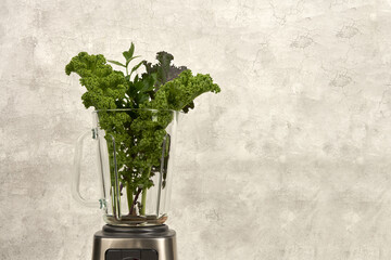Fragment of blender with curly kale leaves and celery stalk in glass bowl on grey background. Vegetable smoothie ingredients.