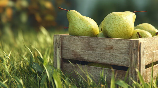Fresh pears in a rustic wooden crate on green grass with blurred background, symbolizing natural harvest and healthy organic farming - Powered by Adobe
