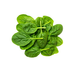 Fototapeta premium Fresh Green Spinach Leaves Healthy Vegetable Ingredient for Cooking and Salads