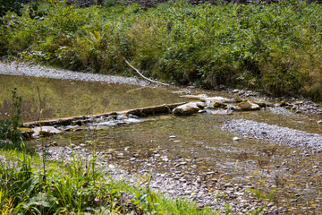 Pebbles on a riverbed