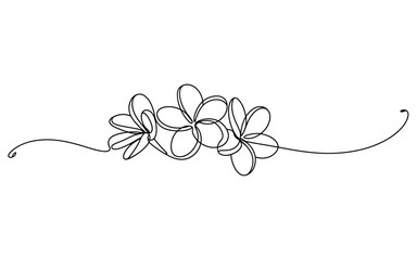 Elegant minimalist plumeria flower line art illustration