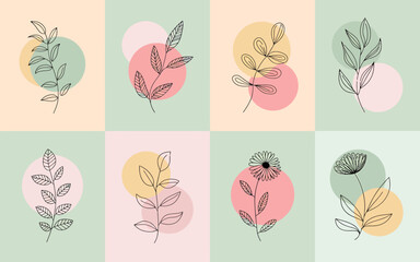 Obraz premium Set of eight minimalist floral design elements