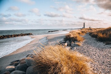 Views from around Grenen in Northern Denmark