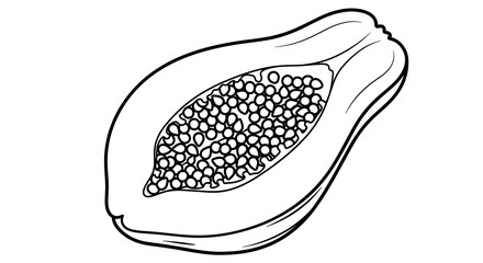 Fototapeta premium Papaya Sketch. Hand drawn vector illustration of sweet exotic tropical fruit. Slice of Thailand Asian food in white and black colors for dessert. Drawing on isolated background in line art style.