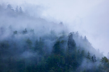 Mountain slope in clouds and mist
