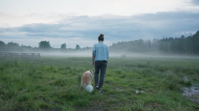 A girl walks through a field at dusk with a faithful friend, a border collie dog. Mystical weather with fog and a ginger dog with a young woman