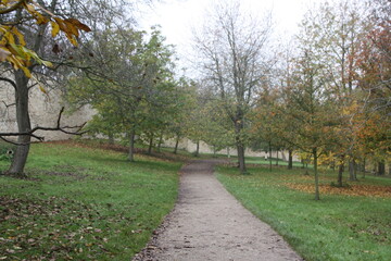 autumn in the park