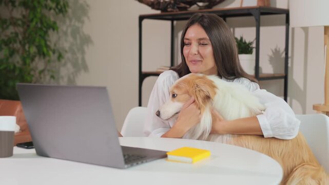 Girl sitting at desk working on computer with beloved Border Collie dog by her side, home office scene, pet companionship, focused study, cozy indoor environment