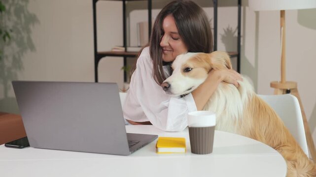 Happy young female pet owner look at laptop and hug border collie dog. Cute adorable puppy look at comedy funny movie. Girl and her dog work, talk to family and friends on video chat conference app