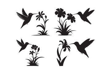 Elegant silhouette of hummingbirds in flight feeding on delicate flowers delicate garden scene