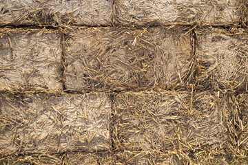 Rustic adobe wall texture background