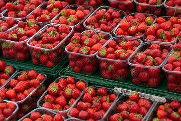 Fresh strawberries in plastic containers on a market stall