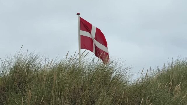 die dänische Flagge flattert im Wind über den Dünnen