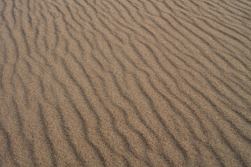 Natural sand ripples creating abstract wavy patterns on the beach surface. Minimalist texture background from coastal environment