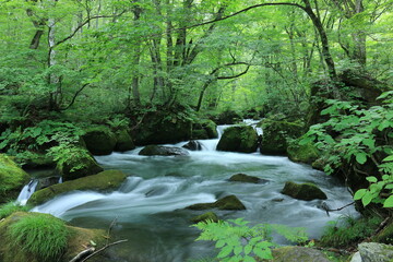 奥入瀬渓流