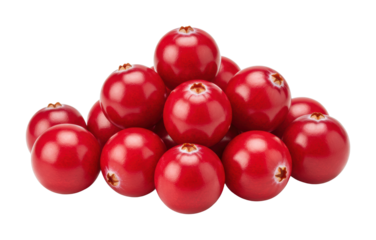 Harvesting juicy red cranberries local farm food outdoor setting fresh ingredients. Cut out PNG