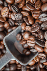 coffee beans close up macro photo

