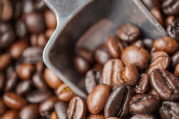 coffee beans close up macro photo

