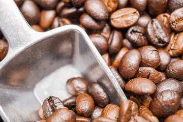 coffee beans close up macro photo

