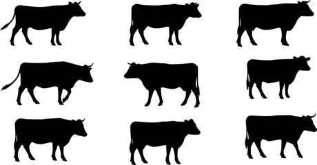 cow silhouette Vector set, cattle silhouettes, diverse breed of cows. Ideal for farm, ranch branding. Perfect for logos, decals. Black, white background. Bulls, cows, standing, walking, running