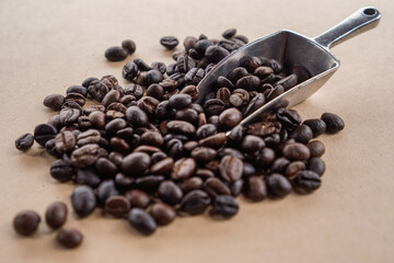 coffee beans close up macro photo

