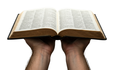 Exploring knowledge through an open dictionary home educational content bright room learning concept. Cut out PNG