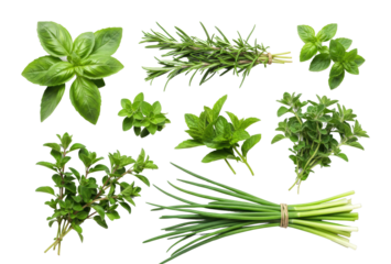 Herb gathering event garden location botanical content natural environment aerial culinary concept. Cut out PNG