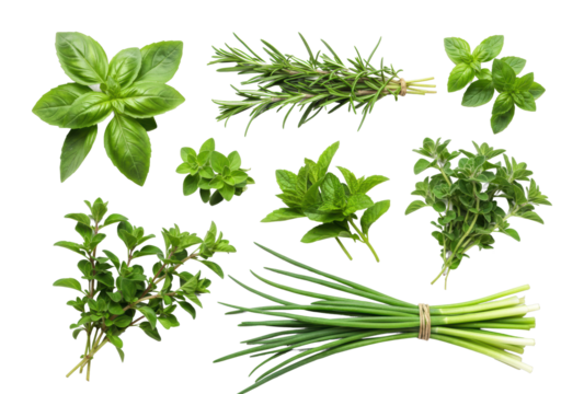 Herb gathering event garden location botanical content natural environment aerial culinary concept. Cut out PNG