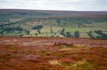 North York Moors
