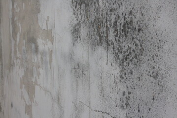 concrete wall texture