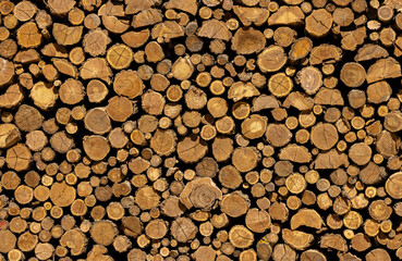 Close-up of a stack of firewood