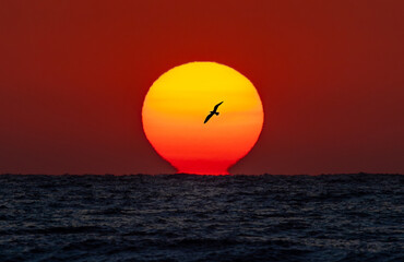 Beautiful landscape with sunrise over the sea. The sun rises from the sea water