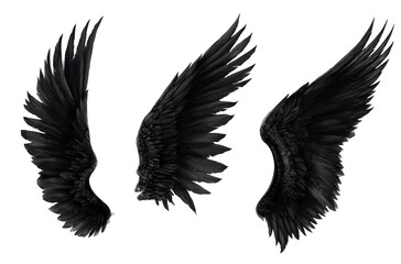 Obraz premium lack angel wings, PNG clipart with transparent background, in different angles 