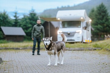 A husky stands guard near a white motorhome. A man stands in the background watching the dog. The...
