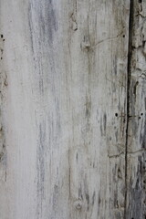 old wood texture