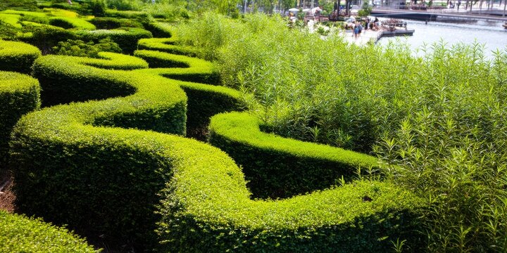 Beautifully manicured hedge garden near a serene body of water.