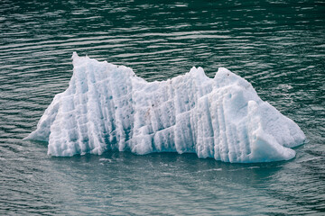 Textured Iceberg