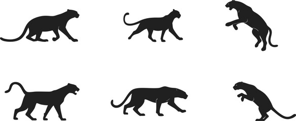 Obraz premium set of leopard