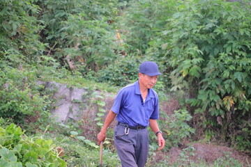 畑仕事に励むシニア男性 草取り作業