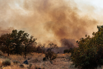 Thick Smoke Rises from a Wildfire in a Dry, Arid Landscape