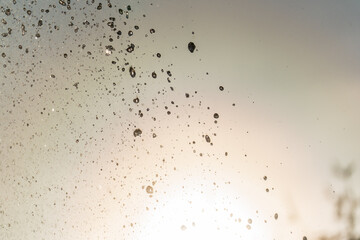 Splashes and jets of water against light background.