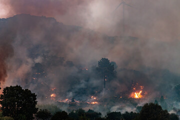 Forest Engulfed in Flames and Smoke During Nighttime Wildfire