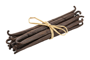 Harvesting vanilla pods culinary delights tropical farm food organic environment flavor concepts. Cut out PNG